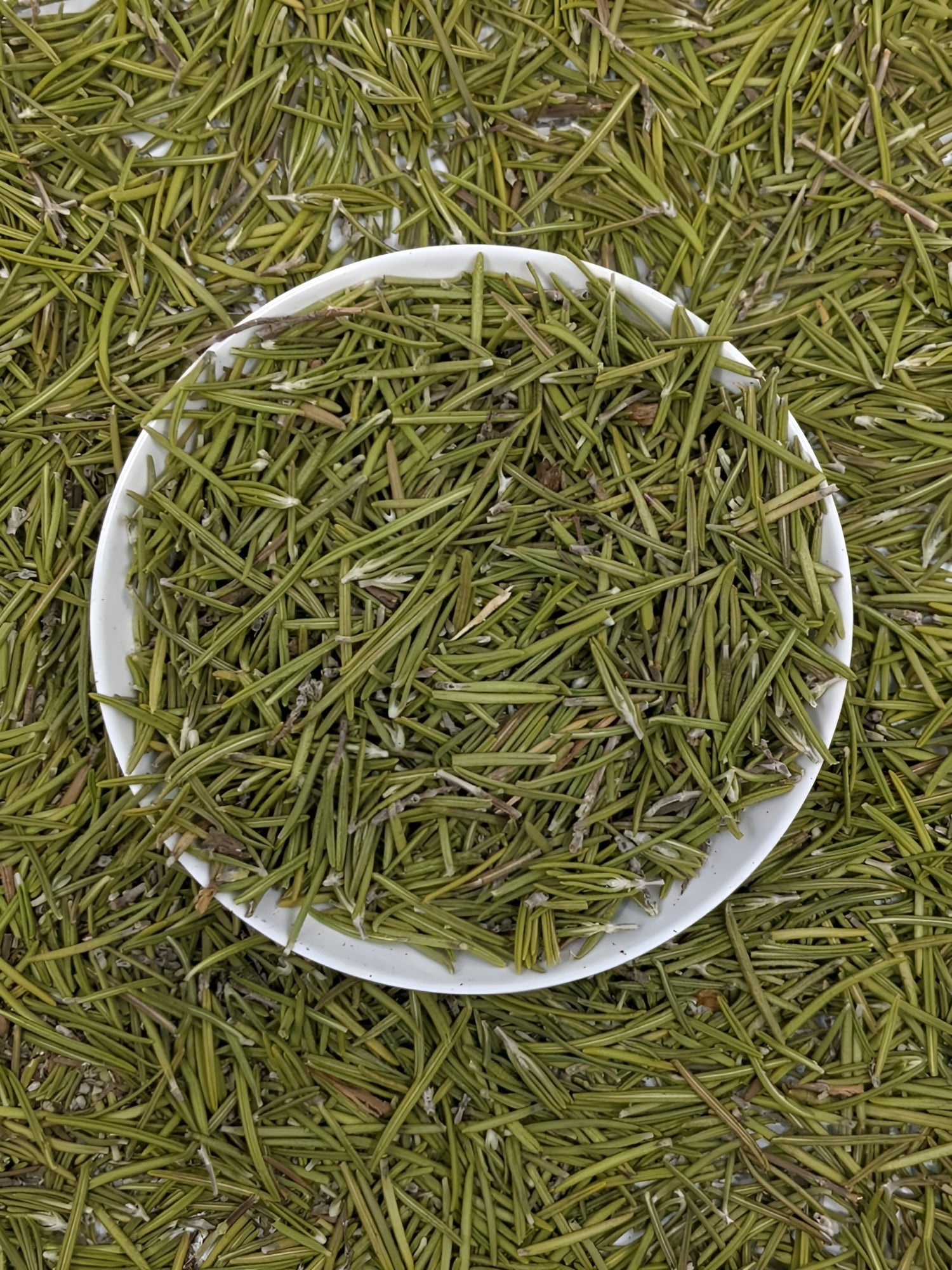 Picture of In dianChirota Powder- 50 gm