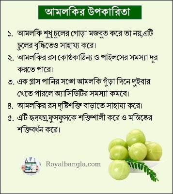 Picture of Amloki powder-100gm/Amloki gura