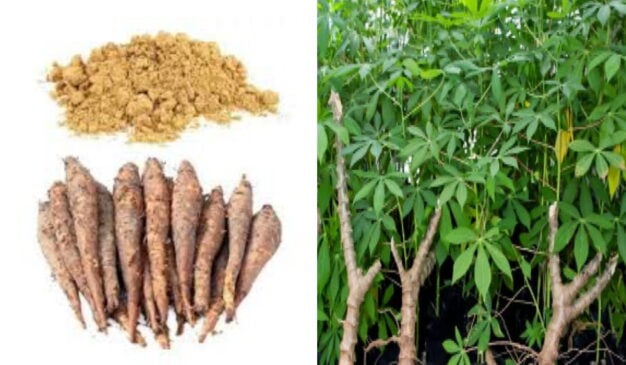 Picture of Shimul Powder - 100 gm/Shimul mul gura