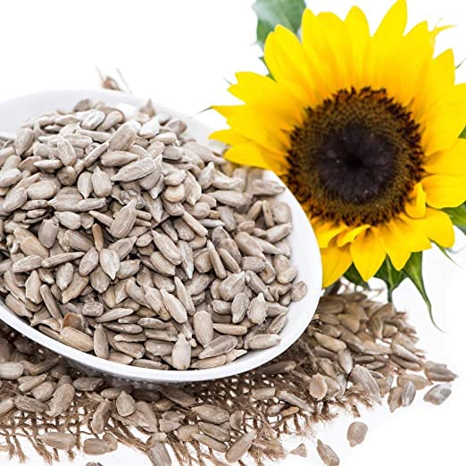Picture of Sunflower Seeds 150 gm ( For Eat)