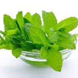Picture of Pudina Pata Gura ( Mint Leaf Powder) (100gm)