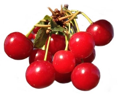 Picture of Red Cherry Fruit (Cherry Foll) - 200gm