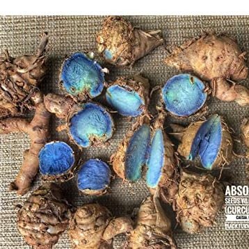 Picture of Wild Turmeric powder / Kasturi Holud gura  - 50 gm