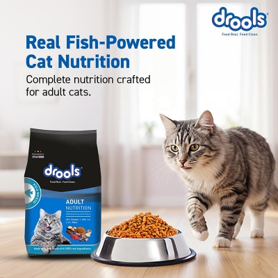 Picture of Drools adult ocen fish cat food 400gm 