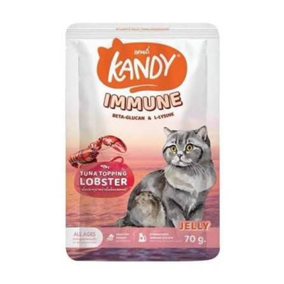 Picture of Kandy Immune Pouch 70gm