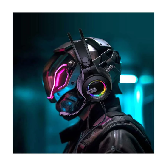 Picture of Havit Gamenote H2040d Wired Black RGB Gaming Headphone