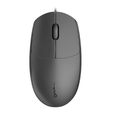 Picture of Rapoo N100 USB Optical Black Mouse