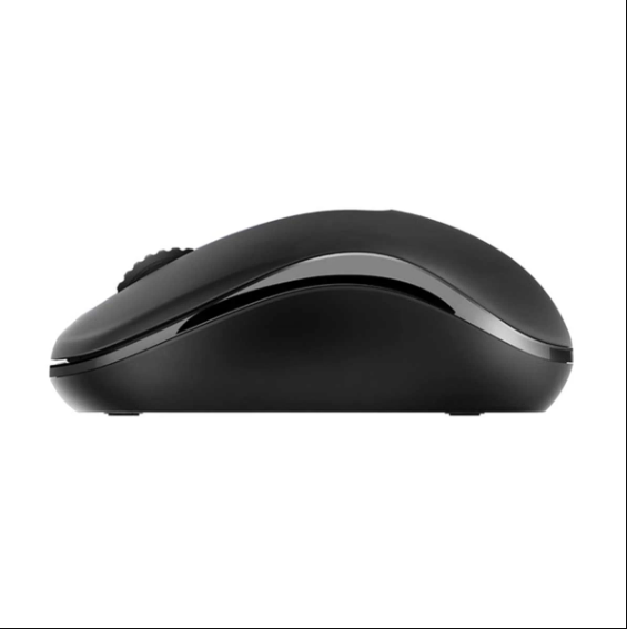 Picture of Rapoo M10 Plus Wireless Optical Black Mouse