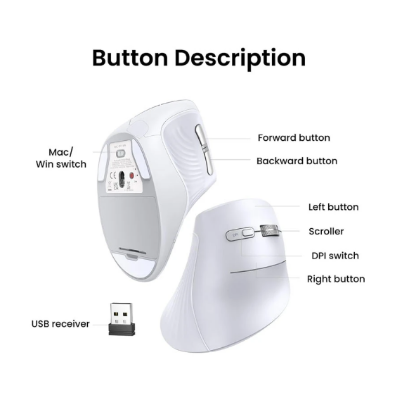 Picture of UGREEN MU008 (45759) Wireless (Dual Mode) White Silent Vertical Mouse
