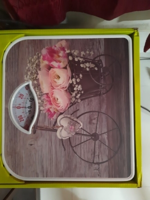 Picture of Mechanical Personal Weight Scale-CAMRY BR2017-130 kg SGS Certified - Fitness Mart - weight machine Multicolor