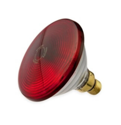 Picture of Philips Infrared Lamp BULB-150W Red