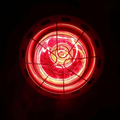Picture of 275 W Infrared Therapy Infrared Lamp Infrared Lamp with Floor Tripod Red Light Lamp Heat Lamp Therapy Heating Red Light Lamp White