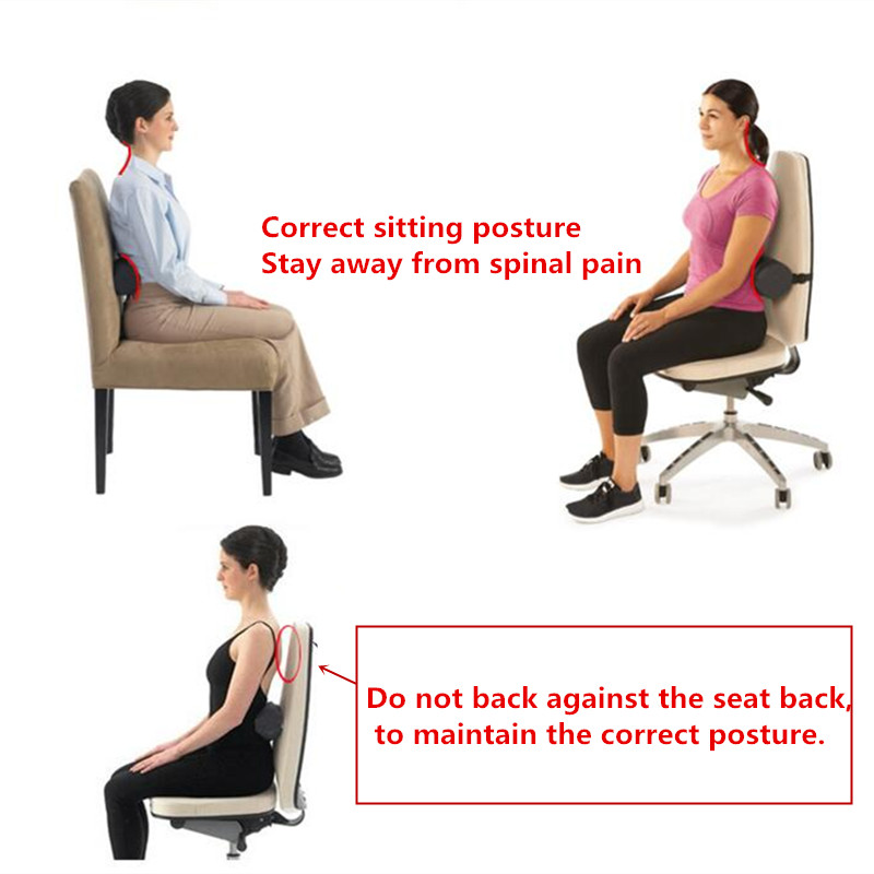 Picture of Spine Lumber Roll Cushion for Lower Back Pain, Car Seat & Office Chair ASH
