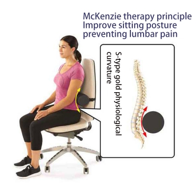 Picture of Spine Lumber Roll Cushion for Lower Back Pain, Car Seat & Office Chair ASH
