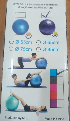Picture of GYM Exercise Ball Dana Multicolor