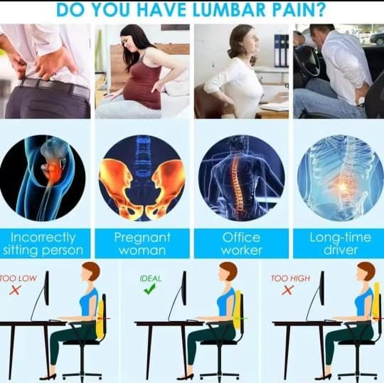 Picture of Back Support for Office Chair, Memory Foam Back Rest for Office Chair, Chair Back Support for Back Pain Relief, for Office/Home Chair & Car Seat, Removable Cover Light Ash