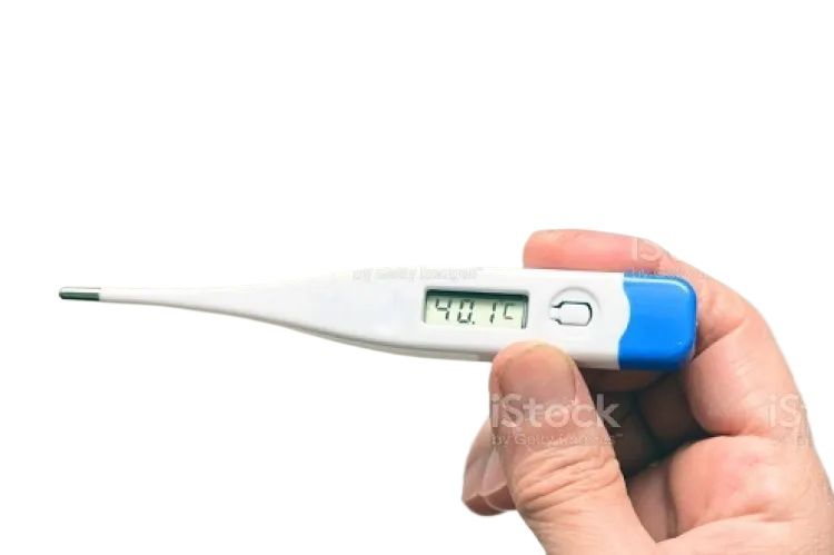 Picture of Precision Digital Fever Thermometer – With 2-Month Replacement Guarantee Multicolor