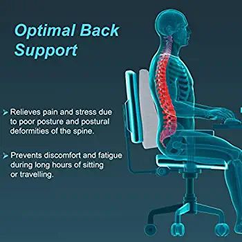 Picture of Tynor Back Rest is a light weight and portable support, which maintains the spine in its neutral position. It is not worn but placed on car seat, chair, bed or floor etc. Multicolor