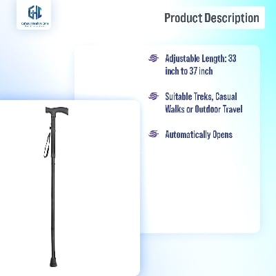 Picture of 4 ফোল্ডিং সেকশন ফোল্ডিং হাঁটার স্টিক - stick Light Ash