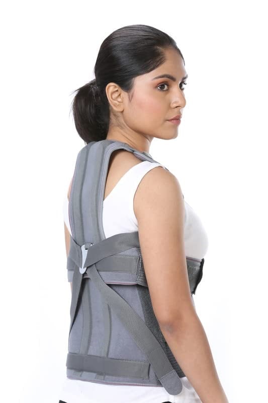 Picture of TAYLOR BRACE for men & women Posture Corrector Belt For Back & Shoulder, Back Support Belt. Back Straightener Brace For Spine & Body Posture Correction, Backbone Support Belt Light Ash
