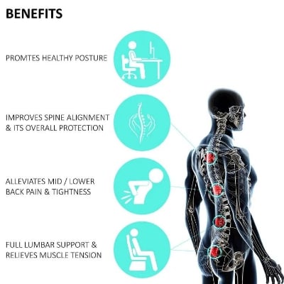 Picture of Spine Lumbar Roll Cushion – Ultimate Lower Back Support Multicolor