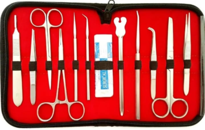 Picture of Dissection Box for Biology Laboratory Multicolor