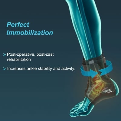 Picture of Ankle Brace Multicolor