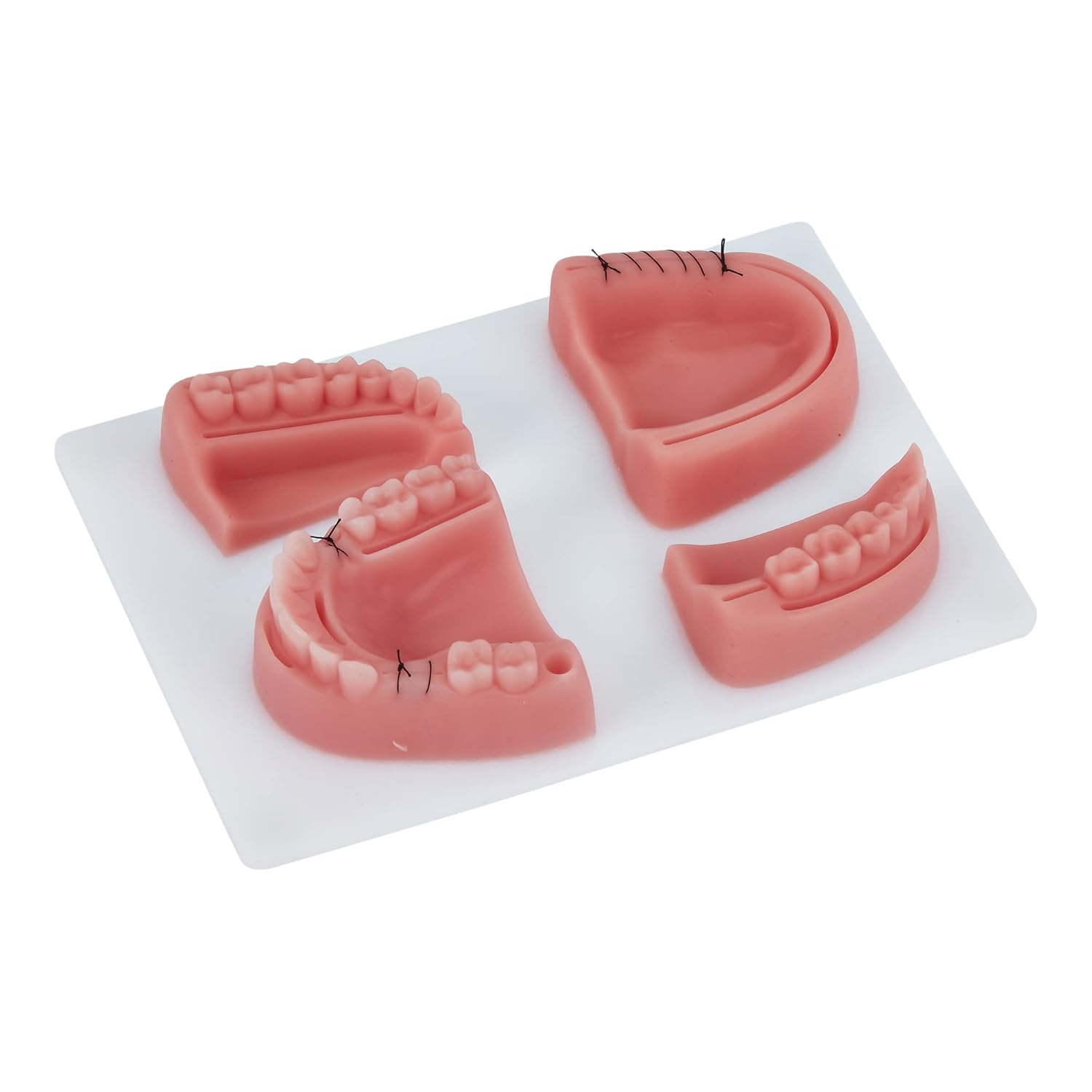 Picture of Dental Suture Practice Model | Complete Suturing Model Including 4 Suture Pads | Perfect Dentist Gifts | 6 Quality Dental Suture Tools | Suturing Practice | OSCE Dentistry | Perfect Suture Material 