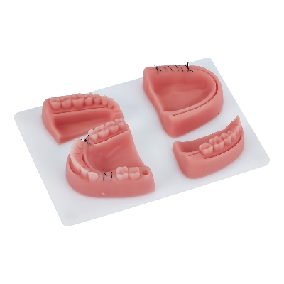 Picture of Dental Suture Practice Model | Complete Suturing Model Including 4 Suture Pads | Perfect Dentist Gifts | 6 Quality Dental Suture Tools | Suturing Practice | OSCE Dentistry | Perfect Suture Material 