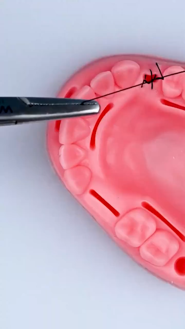 Picture of Dental Suture Practice Model | Complete Suturing Model Including 4 Suture Pads | Perfect Dentist Gifts | 6 Quality Dental Suture Tools | Suturing Practice | OSCE Dentistry | Perfect Suture Material 