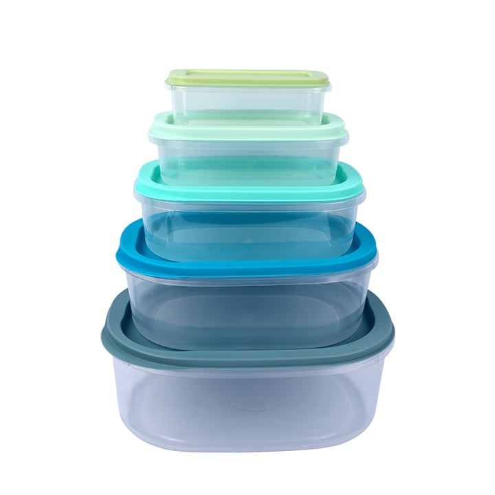 Buy 5-Piece Lid & Lid Rtg Container Set - Durable, Space-Saving Storage - UAE at Best Price In Bangladesh