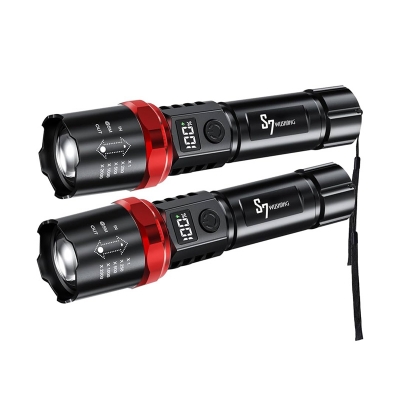 Picture of Torch Light 1 LED