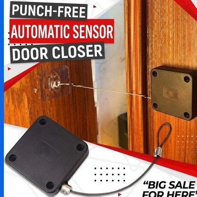 Picture of Automatic Anti-Punching Door Closer