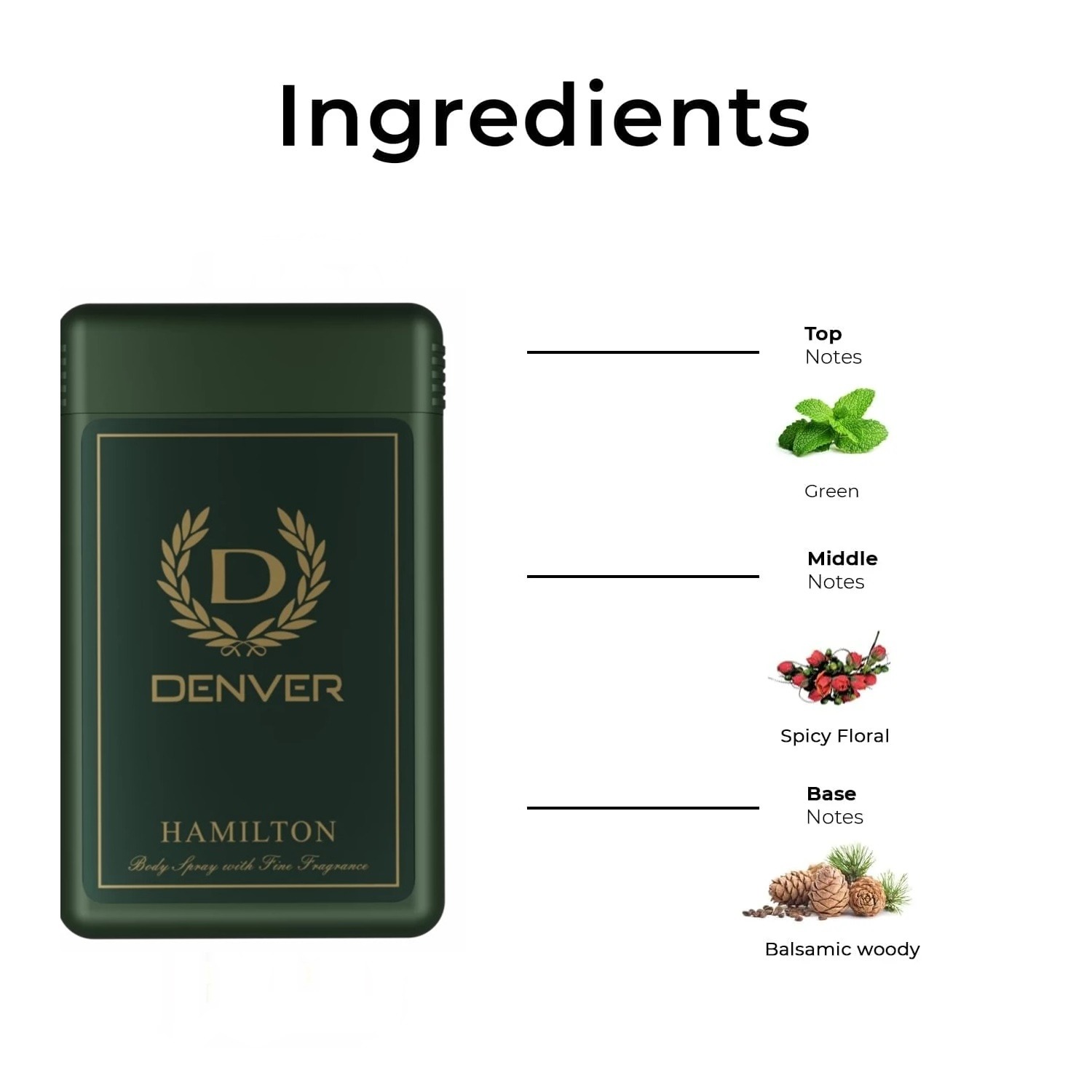 Picture of Denver Hamilton Pocket Perfume Body Spray 18 ml