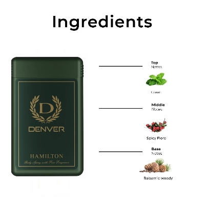 Picture of Denver Hamilton Pocket Perfume Body Spray 18 ml