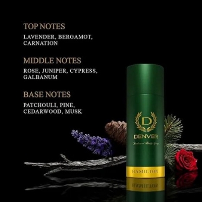 Picture of DENVER BODY SPRAY HAMILATON  FOR MEN 165 ML