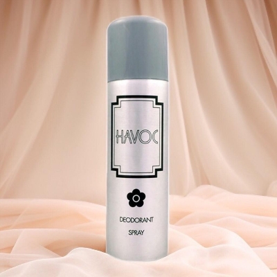 Picture of Havoc Silver Body Spray For Men - 100 ml