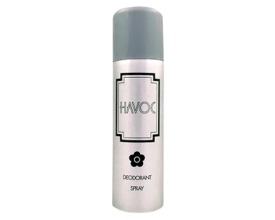 Picture of Havoc Silver Body Spray For Men - 100 ml