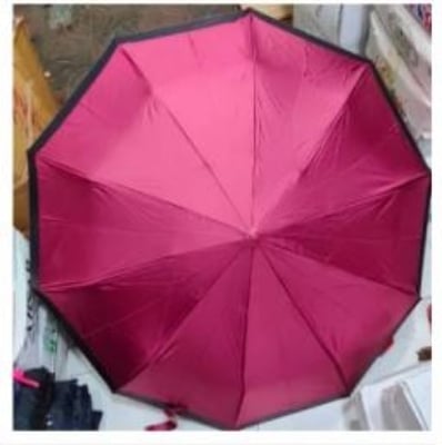 Picture of Moon Umbrella 10 shik Auto Open