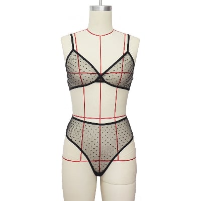 Picture of Premium Net Fabric Dot Point Bra Panty Set - Hot Women's Lingerie- (Black)