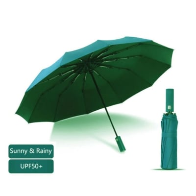 Picture of BMW 12 Ribs Umbrella Auto-Open/Close Wind Resistant-Green