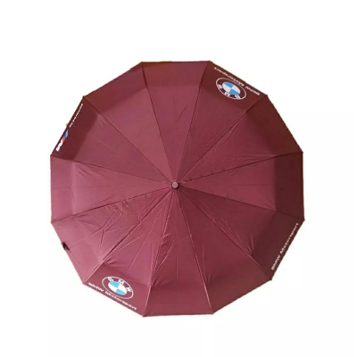Picture of BMW 12 Ribs Umbrella Auto-Open/Close Wind Resistant-Maroon