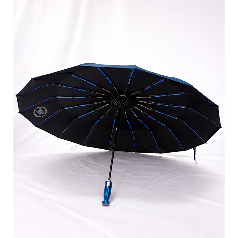 Picture of BMW 16 Ribs Auto Open/Close Windproof Umbrella 3:2