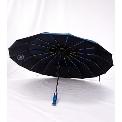 Picture of BMW 16 Ribs Auto Open/Close Windproof Umbrella 3:2