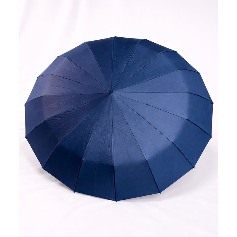 Picture of BMW 16 Ribs Auto Open/Close Windproof Umbrella 3:2