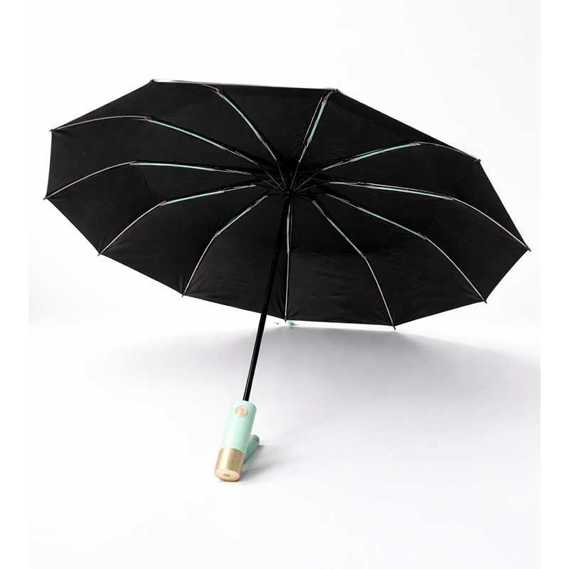 Picture of Executive Auto Open/Close Windproof Umbrella 10 Ribs-3:3