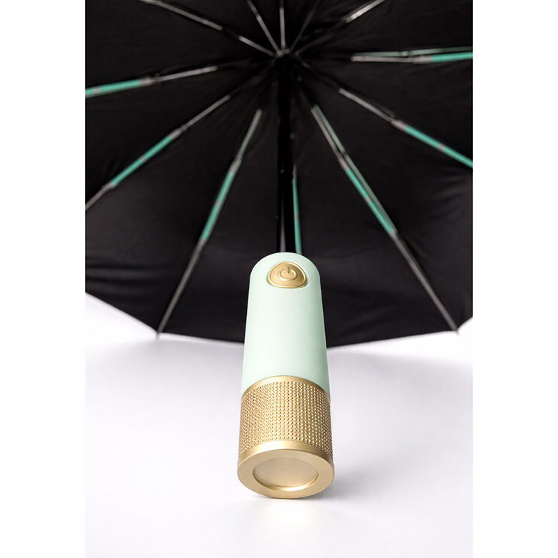 Picture of Executive Auto Open/Close Windproof Umbrella 10 Ribs-3:3