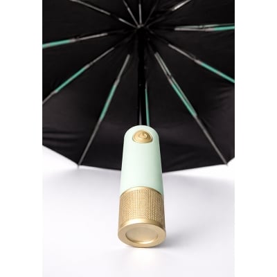 Picture of Executive Auto Open/Close Windproof Umbrella 10 Ribs-3:3