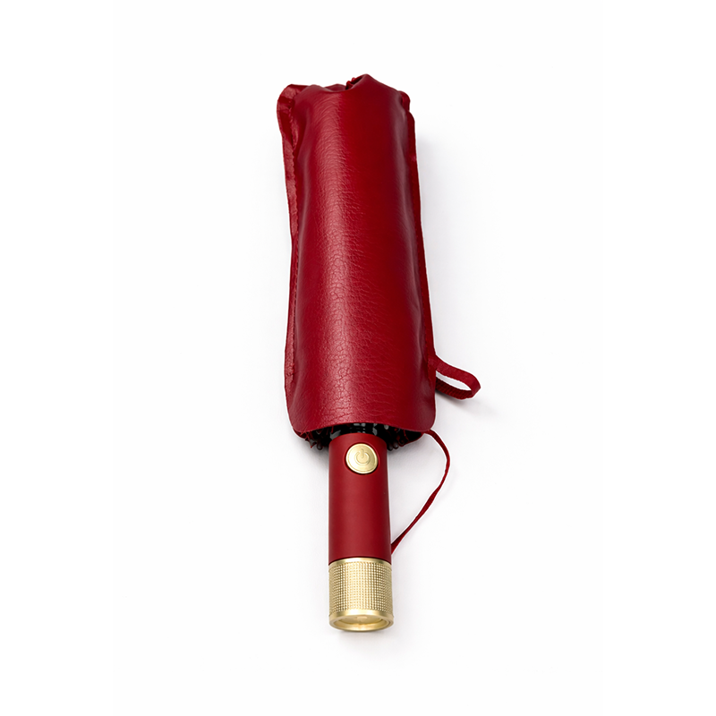 Picture of Executive Auto Open/Close Windproof Umbrella 10 Ribs-3:3