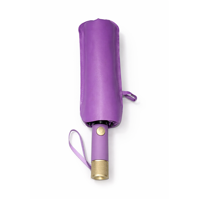 Picture of Executive Auto Open/Close Windproof Umbrella 10 Ribs-3:3